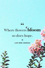 Get In The Springtime Spirit With These Uplifting Quotes In 2020 Spring Quotes Pretty Quotes Uplifting Quotes