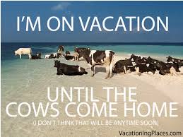 Returning From Vacation Quotes Quotesgram Vacation Quotes English Idioms Idioms