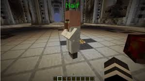 For like the last 3 hours trying to get the custom npc quest. Custom Npcs Mod 1 17 1 1 16 5 1 15 2 1 14 4 1 12 2 Download