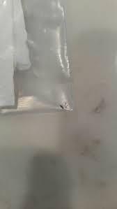 Then spray the mixture on ants whenever you see them in your kitchen. Bugs In Kitchen Sink Hometalk