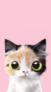Cute Cat Wallpapers Cat Phone Wallpaper Cat Wallpaper Cat Art