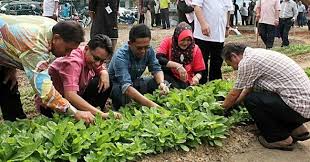 Semua pihak wajarlah mengambil cakna dengan tindakannya terhadap jiran agar semangat kejiranan dapat diperlihara dengan baik. Amalan Semangat Kejiranan Faktor Faktor Semangat Kejiranan Semakin Pupus