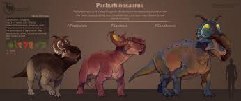 Ark Pachyrhinosaurus (Abilities, Controls, Taming, Food, Saddle, Breeding &  Location) - Progametalk