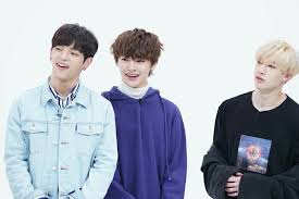 Stray Kids Woojin Jeongin E Chan Boy Groups Kids Lee Know
