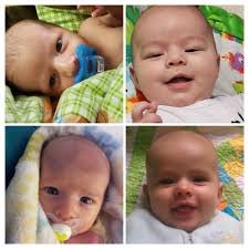 Are Gene and Louise more like twins than siblings?