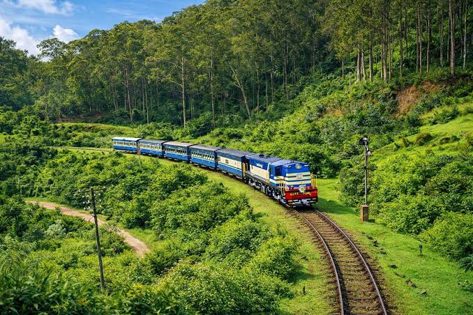 Ooty Nilgiri Tea Gardens & Hill Station