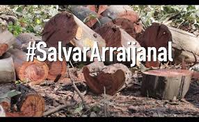 Resultado de imagen de Grupos ecologistas en Arraijanal de Malaga