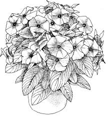 All the shapes and colors, and each one is beautiful, the perfect subject for art. Flower Coloring Pages For Adults Best Coloring Pages For Kids