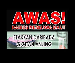 Home » news » sarawak » no dining in at eateries until june 7, says latest sop update for sarawak 0 by antonia chiam on may 17, 2021, monday at 9:57 pm sarawak Rabies Under Control Visit Sarawak Malaysia Borneo