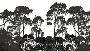 We did not find results for: Https Www Iufro Org Download File 18894 4139 Iwc14 Congress Report Web Version Pdf