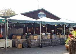 Jax Stumpes Linvilla Orchards 9 10 2019