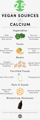 40 Exact Calcium Food List Chart