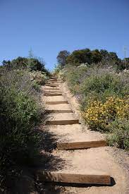 Franklin canyon park is a little slice of wilderness right in beverly hills' backyard. Franklin Canyon Park Mrca