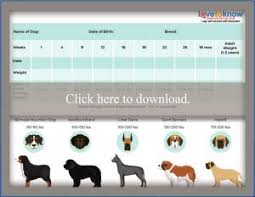 51 right dog growth chart puppy