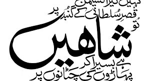 Download 10,000 fonts with one click for $19.95. Urdu Khatati Fonts Download