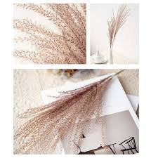 Shop floral supplies 125+ varieties, colors white to purple for your pinterest board 2021 Top Selling Pampas Grass 60 Cm Natural Dried Flower Diy Decorative Dried Flowers Artificia Support Wholesale Best Promo De732 Goteborgsaventyrscenter
