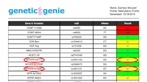 My Guide To Mthfr Gene Mutation Mthfr Testing Treatment