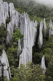 Ia menawarkan pemandangan gua yang. Gunung Api Pinnacles Gunung Mulu National Park National Parks Borneo