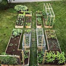 36 Amazing Ideas For Growing A Vegetable Garden In Your Backyard In 2021 Vegetable Garden Design Vegetable Garden For Beginners Garden Layout
