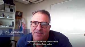 International research teams selected to stud