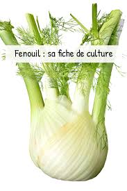 Epingle Sur Cultiver Son Potager