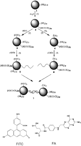 Matches any text strings used to describe a molecule. Synthesis And Functional Evaluation Of Dna Assembled Polyamidoamine Dendrimer Clusters For Cancer Cell Specific Targeting Chemistry Biology