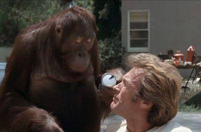 Every Which Way But Loose (1978) -- (Movie Clip) Two Dumb Questions In A Row