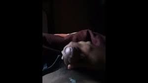 Manda Vídeo Jalandosela Para Mi - Pornhub.com