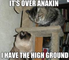 Star Wars The Jedi Battle On Mustafar Funny Animals Animal Captions Cute Funny Animals