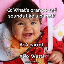 Q Whats Orange And Sounds Like A Parrot A A Carrot Alex Watts Quote Food Quotes Photo Quotes Quotes
