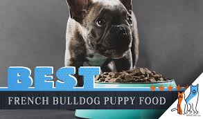8 Best Foods For A French Bulldog Puppy With Our Most