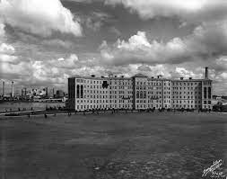 Tampa General Hospital On Davis Islands Florida Pictures Busch Gardens Tampa Tampa Florida