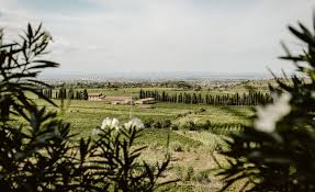 I vini del lazio: terroir, zone e vitigni - OriginalItalia