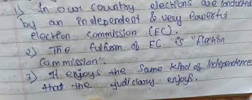 In What Manner Does The Election Commission Monitors The Election Campaigns Brainly In