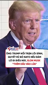 Ông Trump nổi trận lôi đình, quyết rũ bỏ Nato nếu dám lờ đi điều này, Elon  Musk “thêm dầu vào lửa” #tiktoknews #vietnamnet #news