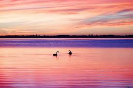 Tuggerah Lake Nsw Travel Around The World Sunset New South Wales