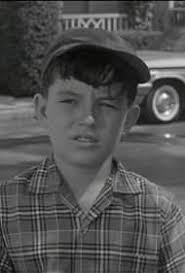 Leave It to Beaver" Miss Landers' Fiance (TV Episode 1960)