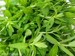 Reproduce canciones como อีสานบ้านเฮา, เซิ้งเฮือส่วง y más. à¸ à¸à¹à¸à¸¢à¸ Thai Food