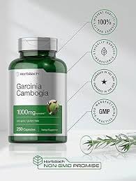 Image result for Garcinia pachyclada