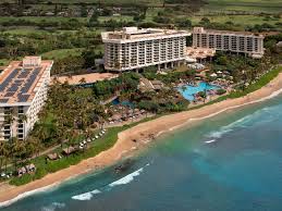 Image result for Regency D-810