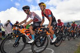 Het winnen van een tijdrit in de ronde van frankrijk. Nhplqacnmzddim