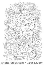 Lovely Vector Monstera Tropical Coloring Page For Kids And Adults Doodle Zen Illustration In Outlines Coloring Books Coloring Book Pages Coloring Pages
