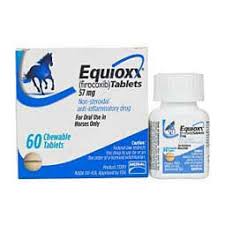 The oral treatment can be given directly into the cheek pouch or mixed with food. Dormosedan Gel For Horses Zoetis Animal Health Safe Pharmacy Sedation Anesthesia Horse Rx Equi