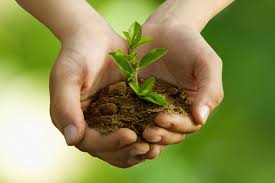 We know that the tree is our best friend on the earth. áˆ Planting Trees Stock Pictures Royalty Free Tree Planting Photos Download On Depositphotos