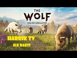 The Wolf Turkce Ilk Bakis Suruden Ayrilani Kurt Kapar Youtube