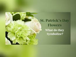 Maybe you would like to learn more about one of these? St Patrick S Day Flowers Perishable News