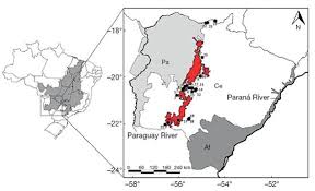 È la nazionale olimpica maschile con il maggior numero di medaglie (due ori, tre argenti. Non Volant Mammals Of The Maracaju Mountains Southwestern Brazil Composition Richness And Conservation