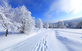 Image result for winter