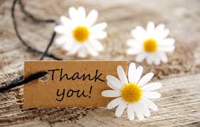 Thank you images with flowers. Wallpaper Flowers Map Chamomile Flowers Daisies Thank You Thank You Card Images For Desktop Section Cvety Download