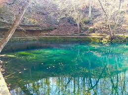 The park has diverse ecosystems such as hardwood forests and glades. Maramec Spring 93 Planned Spontaneity